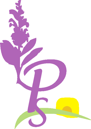 Design de Logo par Adam.Corcoran pour ce projet | Design : #2576935