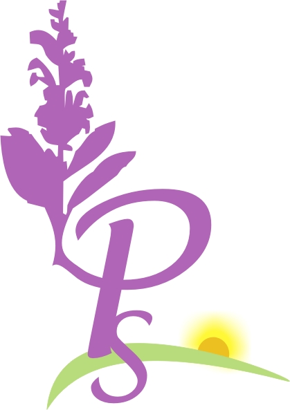 Diseño de Logo por Adam.Corcoran para este proyecto | Diseño #2576939