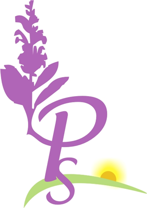 Logo Design by Adam.Corcoran