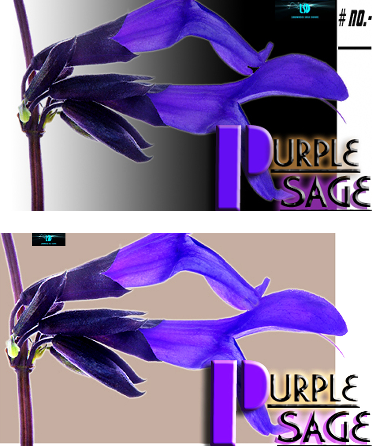 Diseño de Logo por LSD para este proyecto | Diseño #2594763