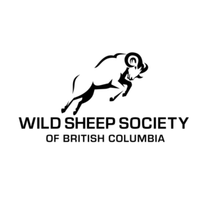 Wild Sheep Society of British Columbia | Logo Design by patrimonio