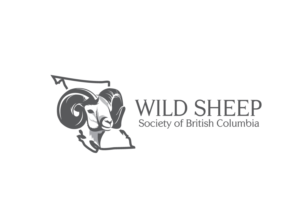 Logo Design by creative.bugs for Wild Sheep Society of British Columbia | Design: #15325108