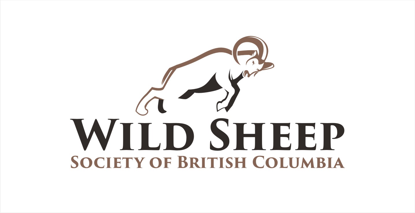 Logo Design by Soul Light for Wild Sheep Society of British Columbia | Design #15307684