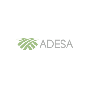 Logo Design by Design Possibilities for this project | Design: #15376295