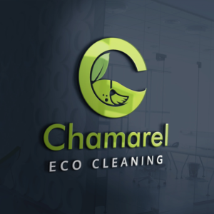 Logo Design by palakpanchal.web