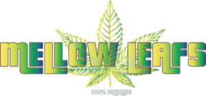 Diseño de Logo por FROGIE para este proyecto | Diseño: #15314801