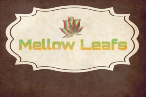 Diseño de Logo por FROGIE para este proyecto | Diseño: #15322956