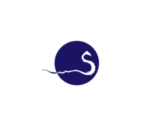 Logo Design by EGYPT KING for this project | Design: #15304508