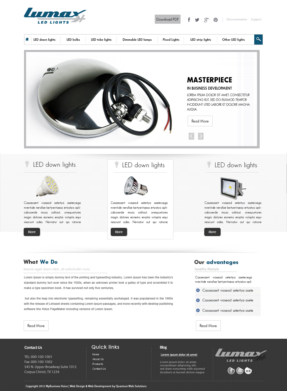 Wordpress Design by webxvision for Lumax Lighting | Design #2623065
