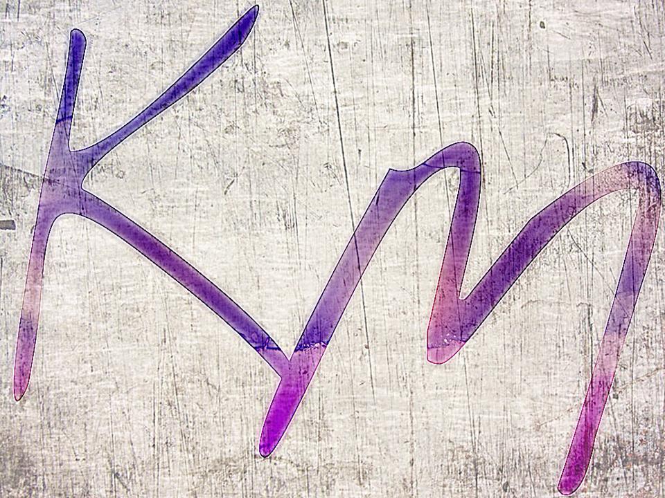 Diseño de Logo por Rayanna para este proyecto | Diseño #2586401