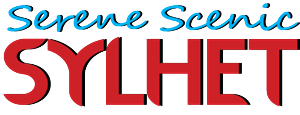 Diseño de Logo por topdsign para EShop Online | Diseño: #2605231
