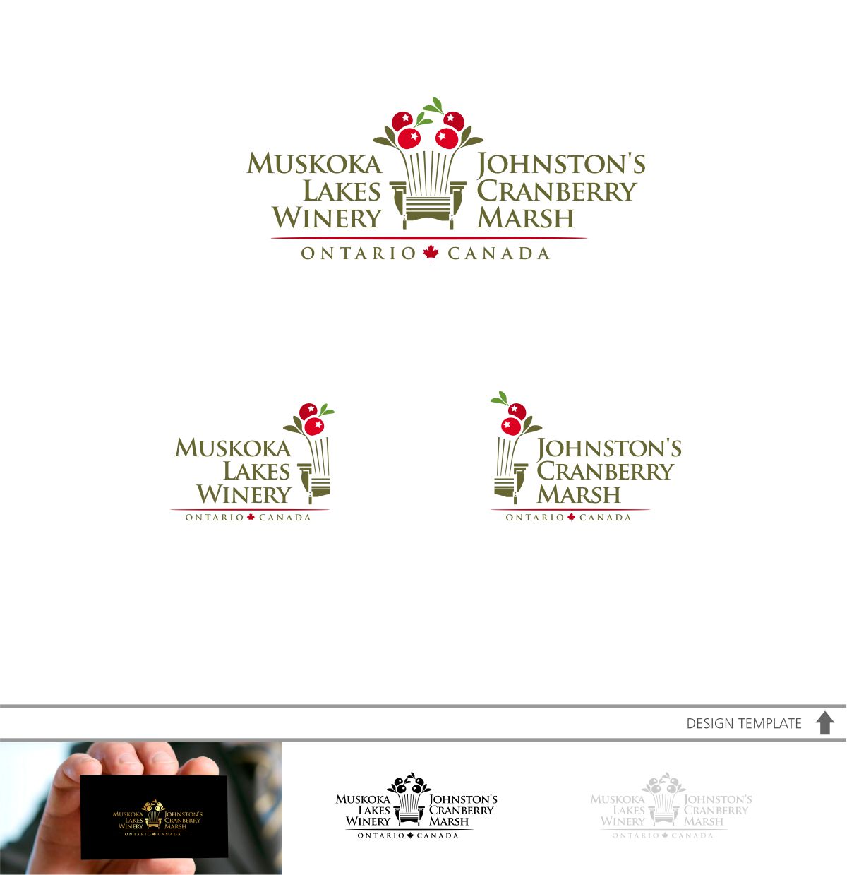 Logo-Design von DesignMX (Renan Mejia) für dieses Projekt | Design #15364579
