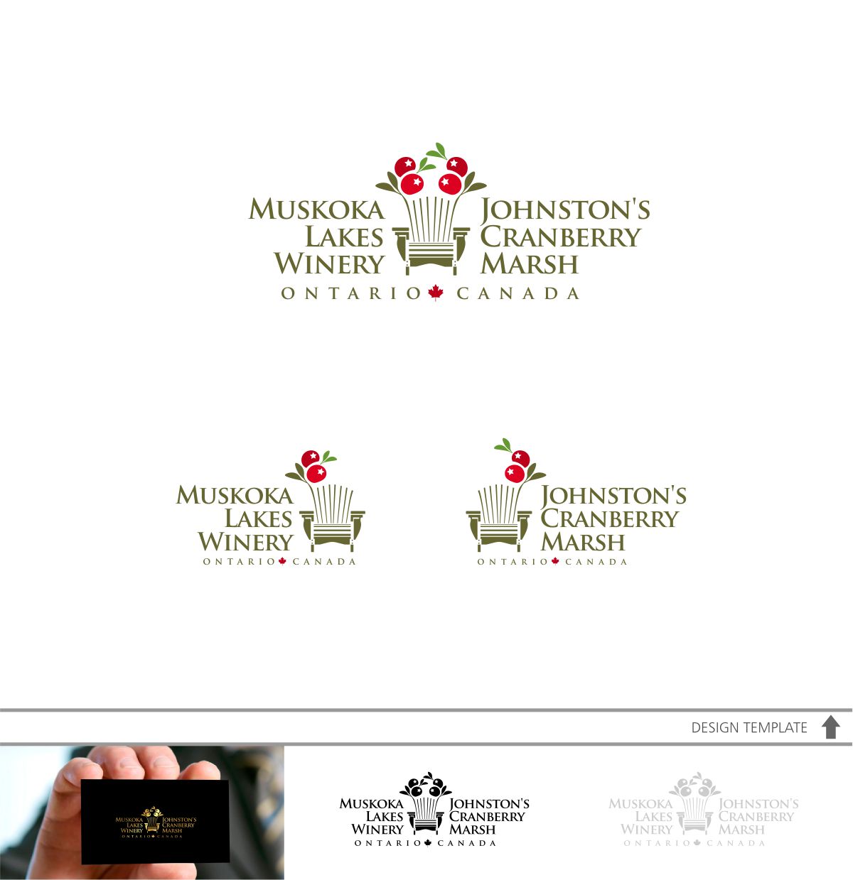 Logo Design by DesignMX (Renan Mejia) for this project | Design: #15581972