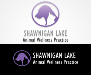 Logo Design by eoliva30