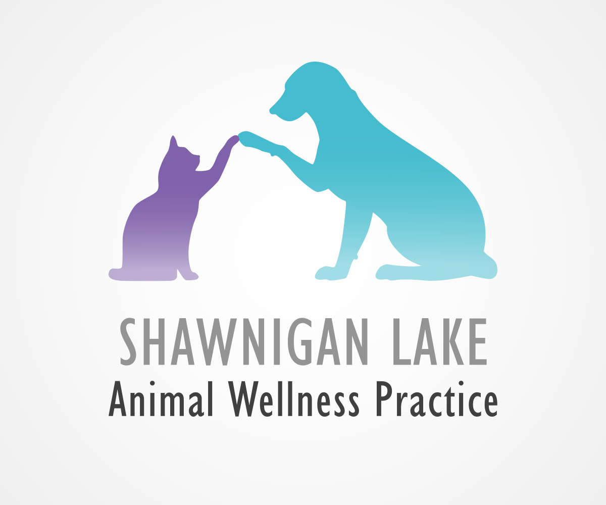 Logo Design by eoliva30 for this project | Design #15410219