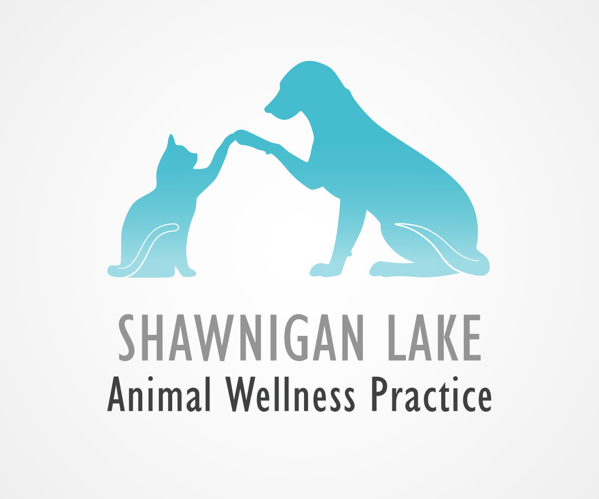 Logo Design by eoliva30 for this project | Design #15410221