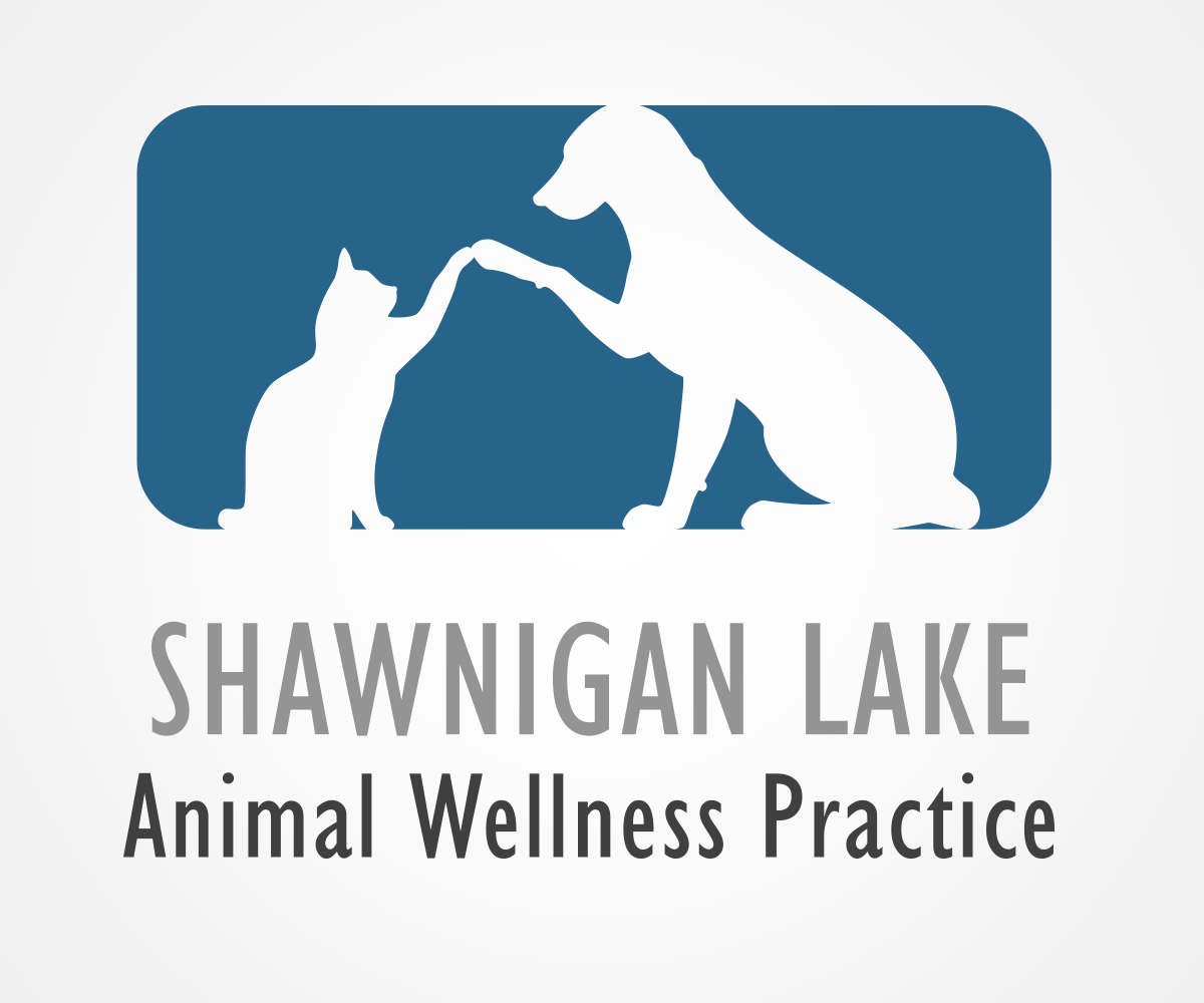 Logo Design by eoliva30 for this project | Design #15410224