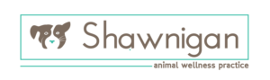 Logo Design by Himanshi10 for this project | Design #15300703