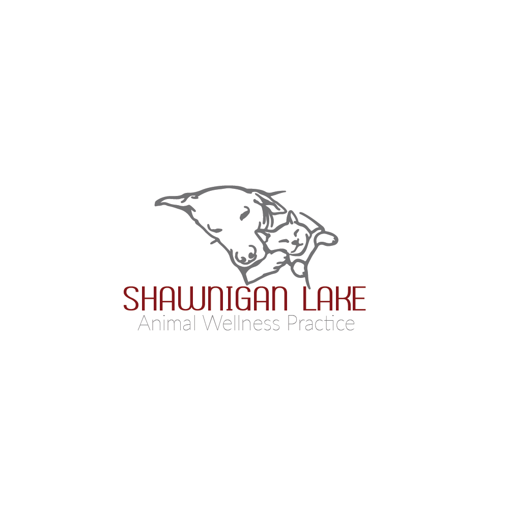 Logo Design by TB Designs for this project | Design #15297379