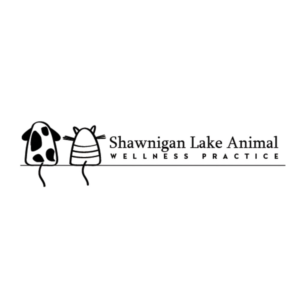 Logo Design by Syahrul Fatoni