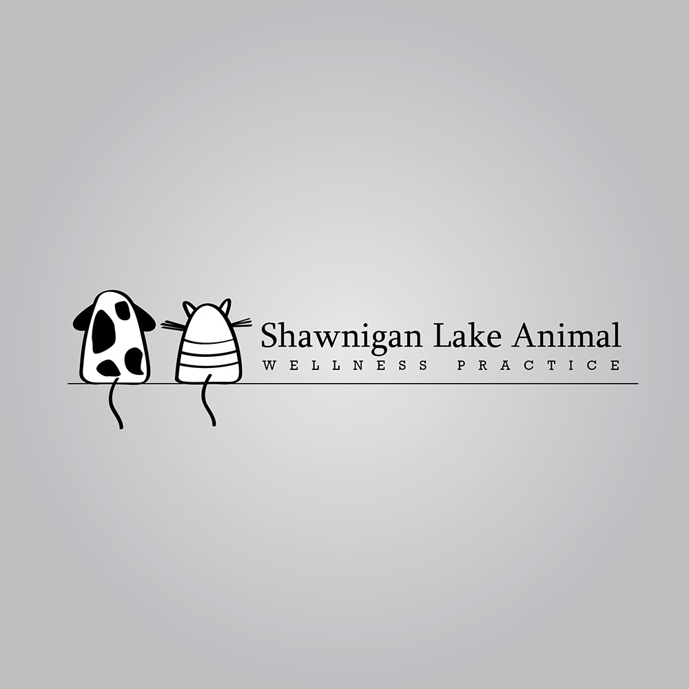 Logo Design by Syahrul Fatoni for this project | Design #15317574