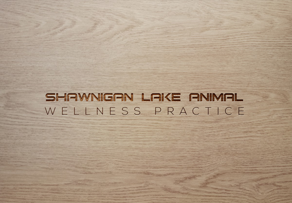 Diseño de Logo por illastrator design para este proyecto | Diseño #15313466