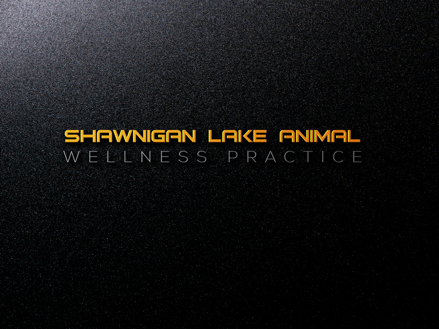 Logo Design by illastrator design for this project | Design #15313468