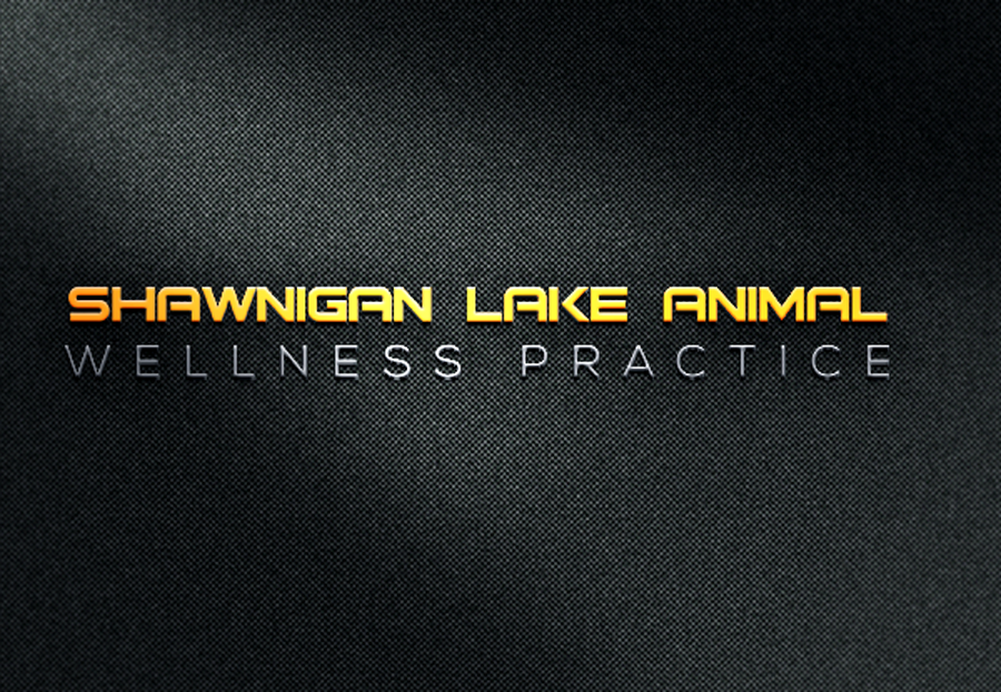 Logo Design by illastrator design for this project | Design #15313469