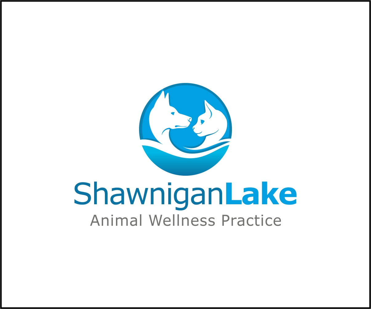 Logo-Design von Bindhu K für dieses Projekt | Design #15379578