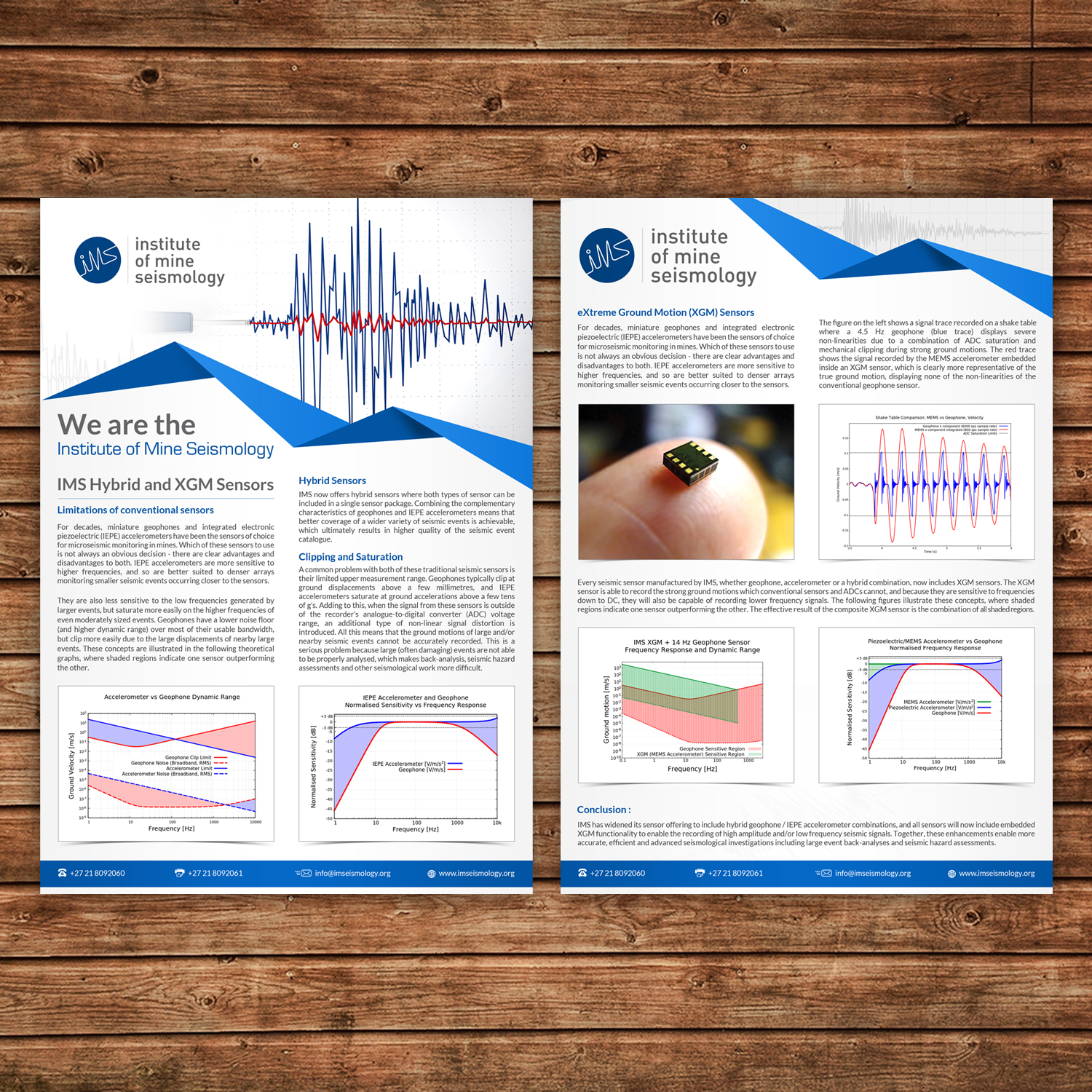Diseño de Flyer por debdesign para este proyecto | Diseño #15337517