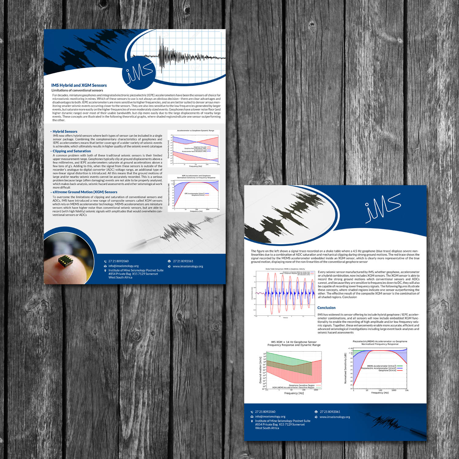 Flyer Design by creative.bugs for this project | Design #15341288