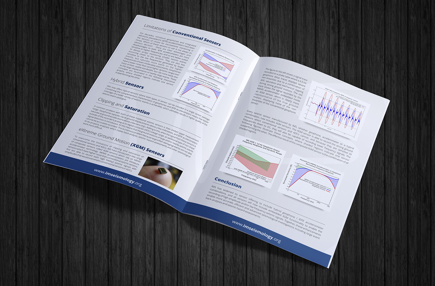 Diseño de Flyer por ecorokerz para este proyecto | Diseño #15336151