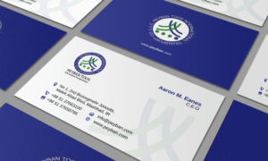 Diseño de Papelería por asimali para Prime Star Shipping LLC | Diseño #15327376