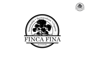 FINCA FINA  