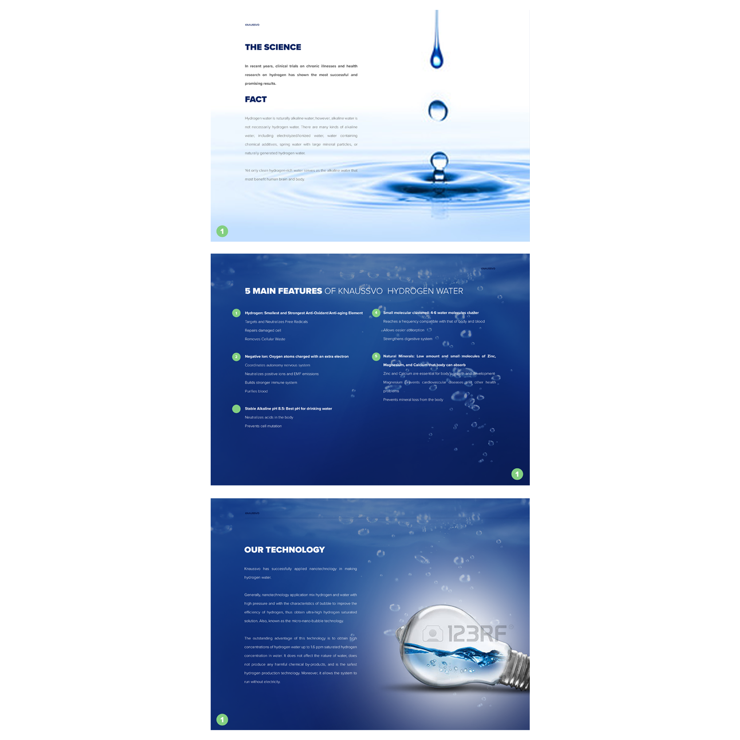 Brochure Design by Tohao for this project | Design #15432694