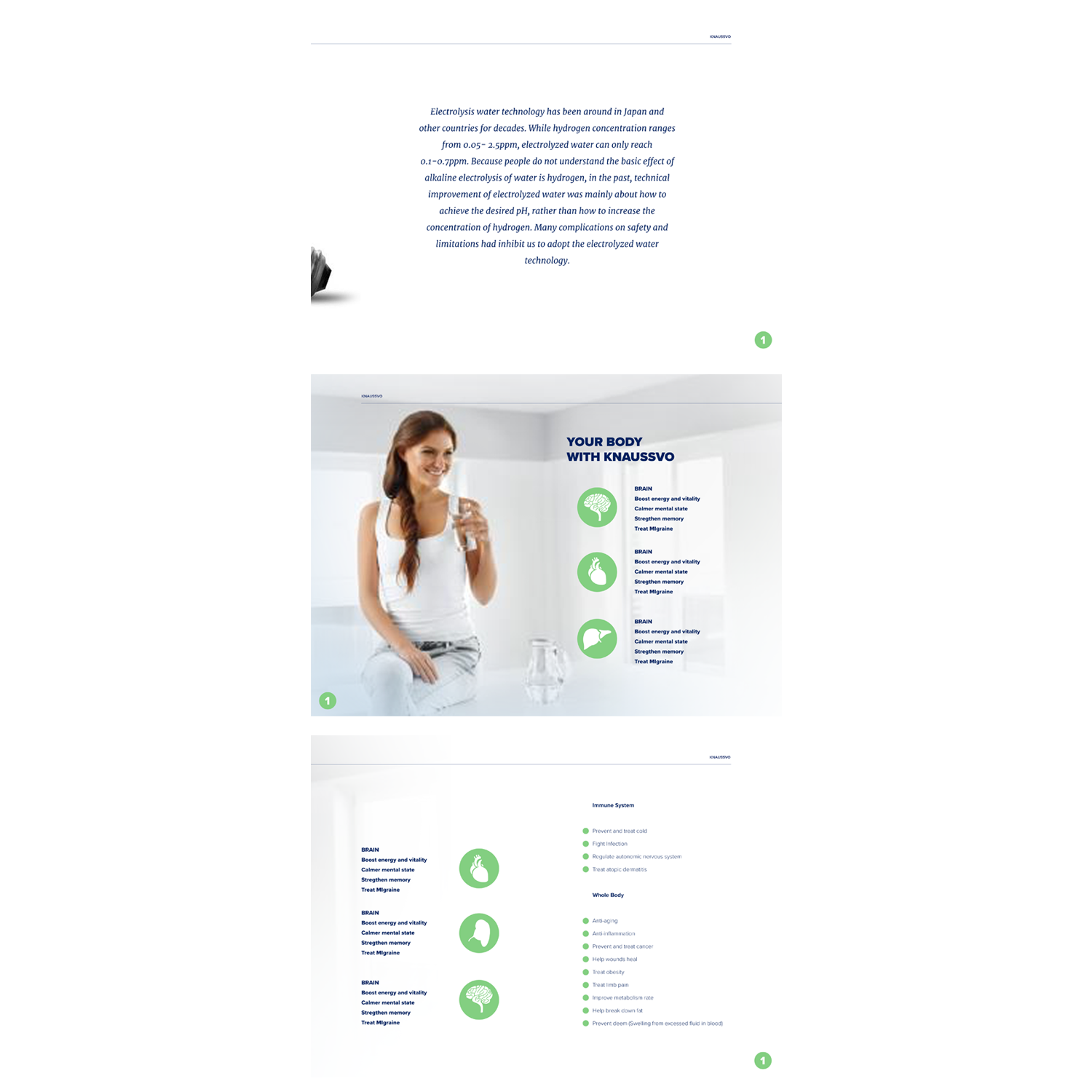 Brochure Design by Tohao for this project | Design #15436596