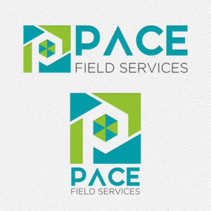 Logo Design by designdruid