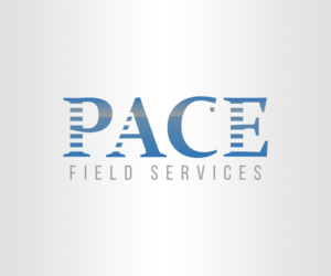 Logo Design by Edipra