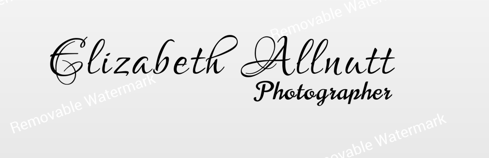 Logo Design by Expert Designer for Elizabeth Allnutt PHOTOGRAPHER | Design #15357766