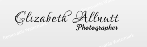 Logo Design by Expert Designer for Elizabeth Allnutt PHOTOGRAPHER | Design: #15357766
