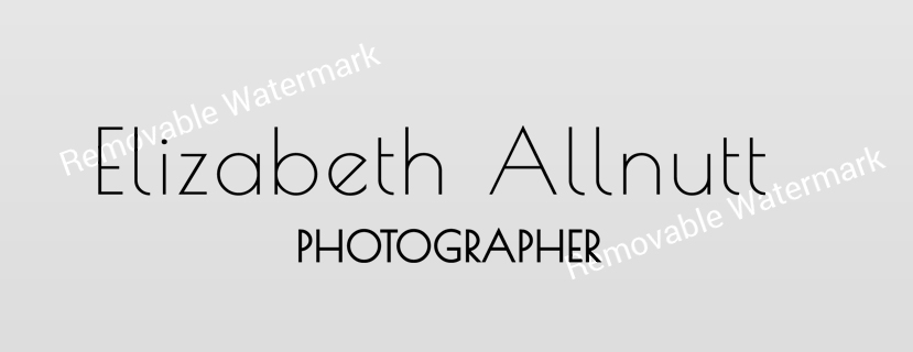 Logo Design by Expert Designer for Elizabeth Allnutt PHOTOGRAPHER | Design #15357782