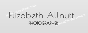 Logo Design by Expert Designer for Elizabeth Allnutt PHOTOGRAPHER | Design: #15357782