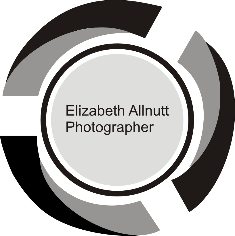 Logo Design by ekobanjar for Elizabeth Allnutt PHOTOGRAPHER | Design #15330598