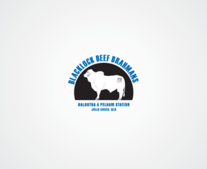 Logo Design by bijuak for this project | Design #15314651
