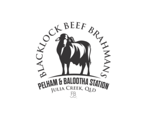 BLACKLOCK BEEF BRAHMANS/ BALOOTHA & PELHAM STATION/ Julia Creek, Qld. | Logo Design by Ambo Dalle