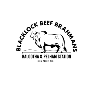 Logo Design by patrimonio