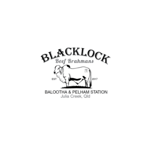 Logo Design by TB Designs for this project | Design: #15323928