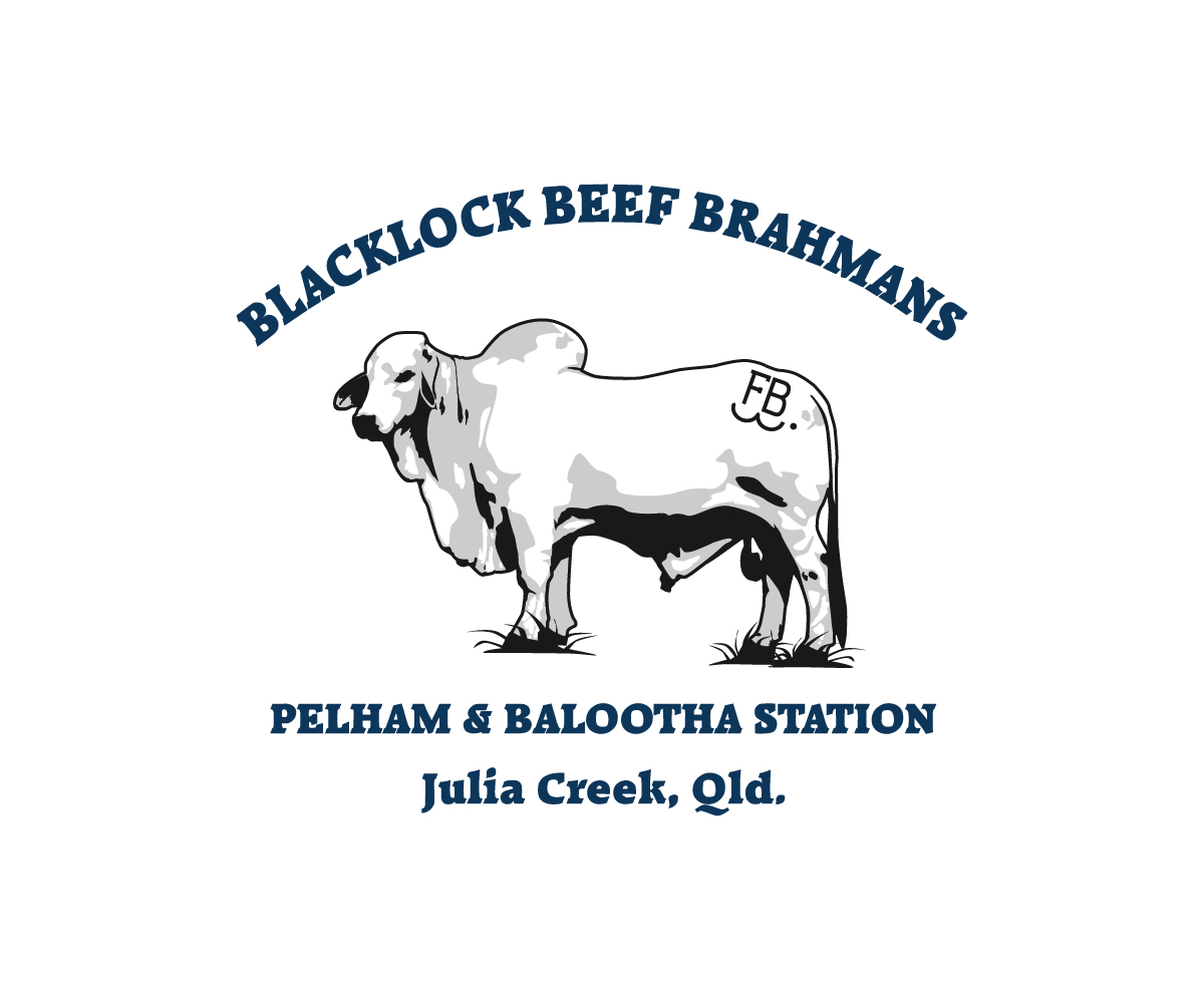 Logo Design by sinisadizajn for this project | Design #15319250