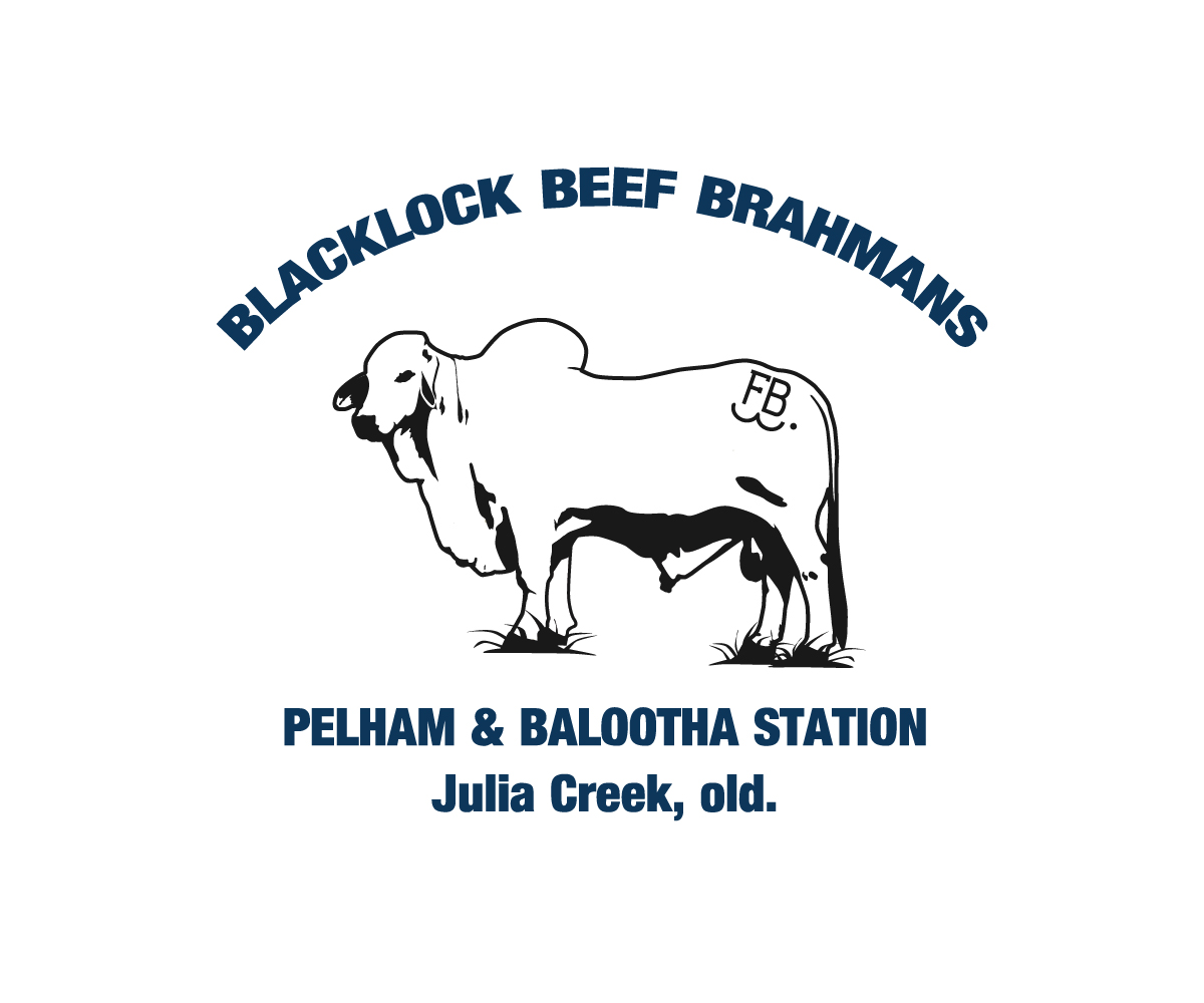 Logo Design by sinisadizajn for this project | Design #15325947