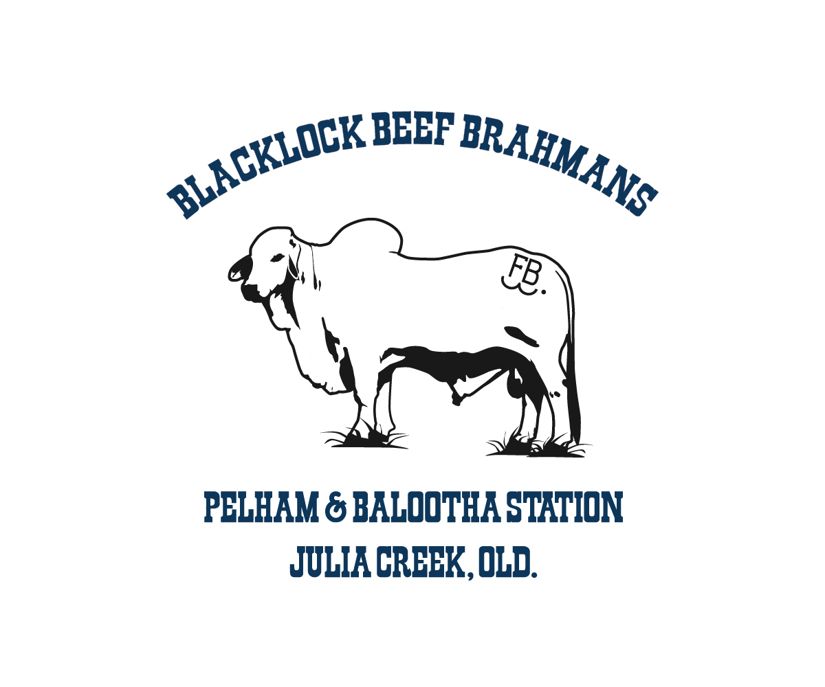 Diseño de Logo por sinisadizajn para este proyecto | Diseño #15325950